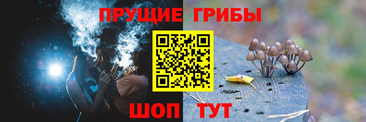 купить наркотик  Псилоцибиновые грибы Psilocybe  Псилоцибиновые грибы прущие грибы  Вход с VPN  Майкоп 