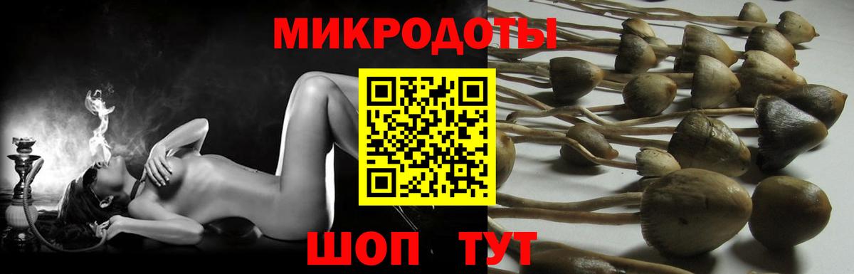 Псилоцибиновые грибы ЛСД Майкоп